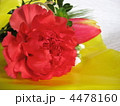 母の日  カーネーション  華やか