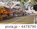 西公園の桜