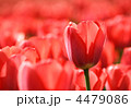 4479086