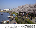 春の墨田川