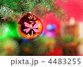 4483255