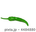 4484880