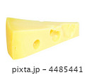 4485441