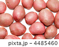 4485460