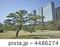 東京　浜離宮庭園　