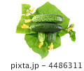 4486311