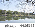 東京　浜離宮庭園　潮入の池 