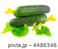 4486346