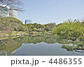 東京　浜離宮庭園　潮入の池 