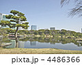 東京　浜離宮庭園　潮入の池 