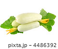 4486392