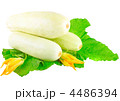 4486394