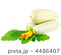 4486407