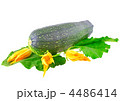4486414