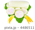 4486511