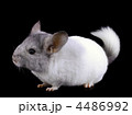 4486992