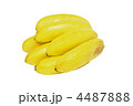 4487888