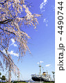 しだれ桜　氷川丸　横浜　山下公園