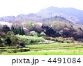 春　花盛りの里山