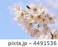 4491536
