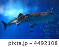 水族館