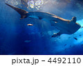 水族館