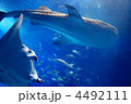 水族館
