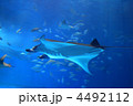 水族館
