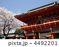 神田明神と桜