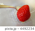 イチゴ