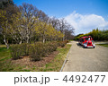 長居植物園のロードトレイン