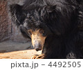 4492505