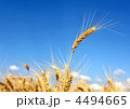 4494665