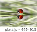 4494913