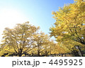 4495925