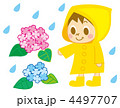 アジサイと男の子（梅雨）