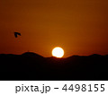 夕焼けとカラス