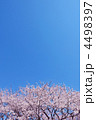 4498397