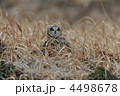 4498678