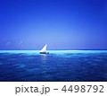 海とドーニ