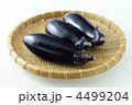 茄子