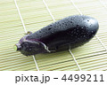 茄子