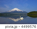 4499576