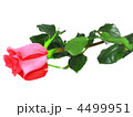 4499951
