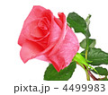 4499983