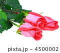 4500002