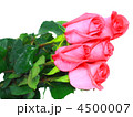4500007