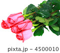 4500010