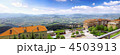 4503913