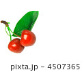 4507365